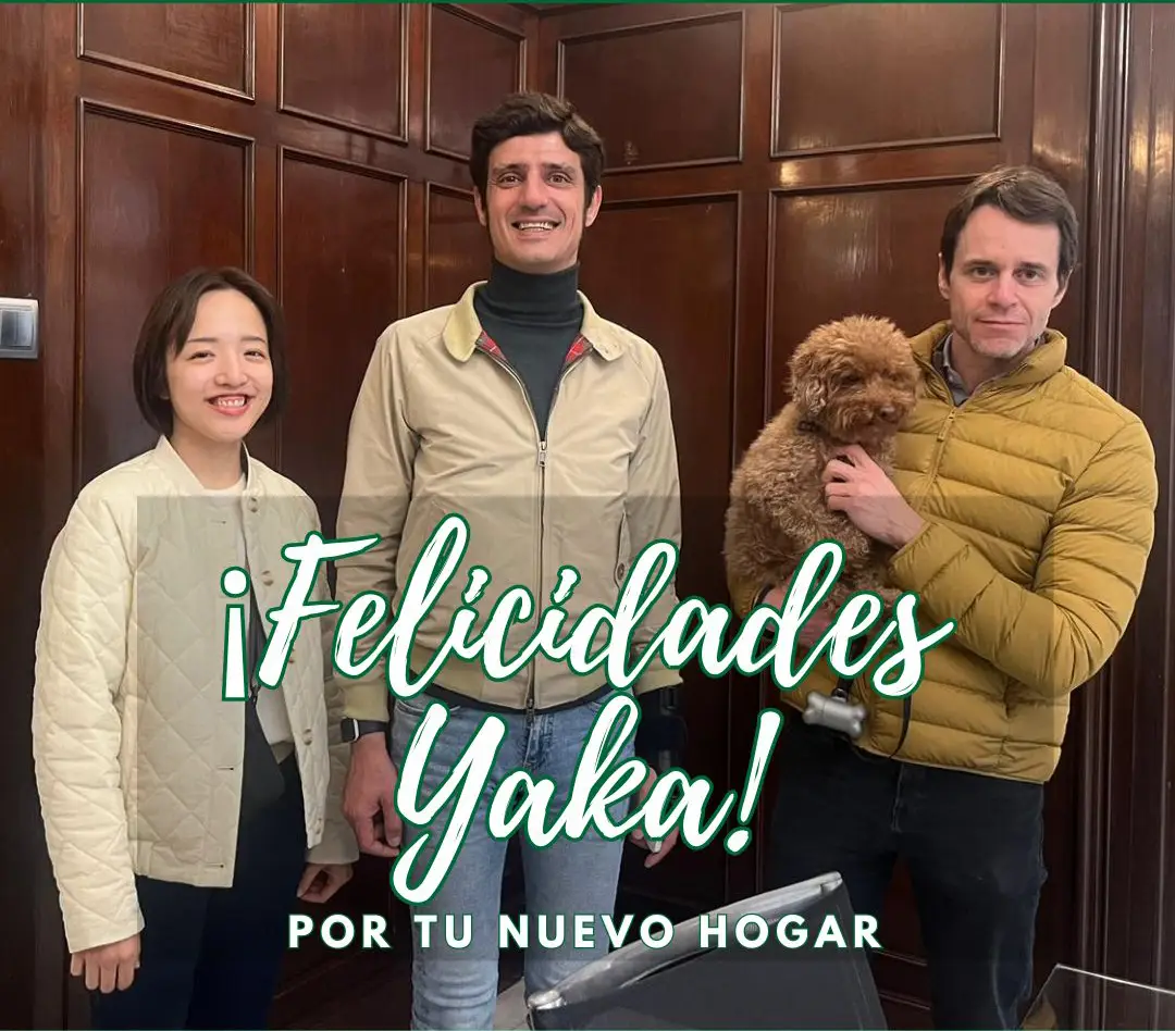 casos de exito venta piso milanesat yaka jorge arquitec